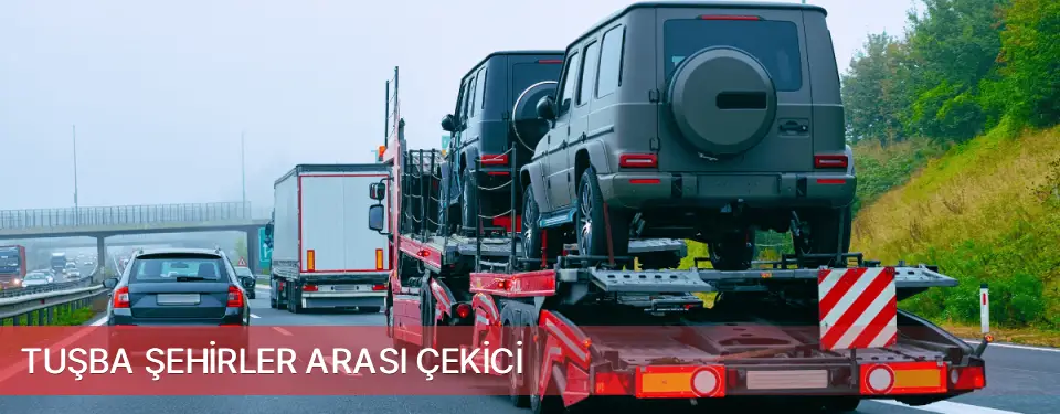 Tuşba İlçemi Şehirler Arası Çekici