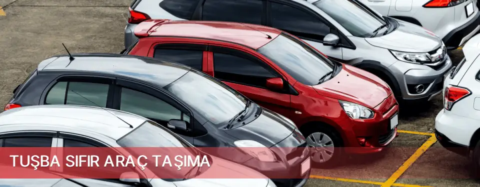 Tuşba İlçemi Sıfır Araç Taşıma